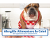 Alergiile Alimentare la Caini. Simptome si Tratament