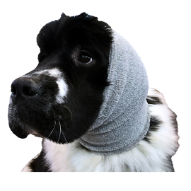 SHOW TECH Ear Buddy XLarge, Cagula Antistress Protectie Urechi Caini Talie Mare