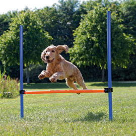 Ansamblu Dresaj Outdoor Obstacol AGILITY 129x115cm