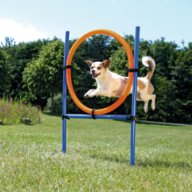 Ansamblu Dresaj Outdoor AGILITY RING 65cm