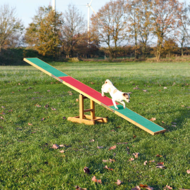 Balansoar Caini AGILITY WIPPE 300x54x34cm, Max.80kg