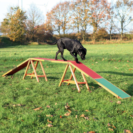 Ansamblu Dresaj AGILITY DOG WALK 456x64x30cm, Max.80kg