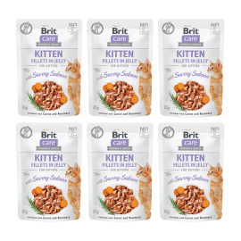 BRIT CARE Kitten Fillet in Jelly, cu Somon, Set Plicuri Hrana Umeda, Fara Cereale,  Pisici Junior (file in aspic) 6x85g