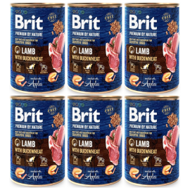 BRIT PREMIUM By Nature, Miel si Hrisca, Set Conserve Hrana Umeda Caine (pate) 6x400g