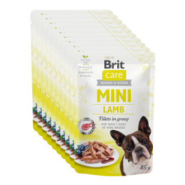 BRIT CARE MINI Adult, Miel, Set Plic Hrana Umeda Fara Cereale, Caine (fillet carne in sos) 10x85g