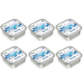 MONGE VETSOLUTION Dermatosis Feline, Set Conserve Hrana Umeda Pentru Pisici cu Afectiuni Dermatologice | Alergii | Caderea Parului in Exces, 6x100g