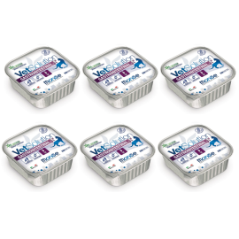 MONGE VETSOLUTION Gastrointestinal Feline, Set Conserve Hrana Umeda Pentru Pisici cu Afectiuni Gastrointestinale, 6x100g