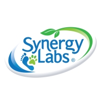 Synergy Labs