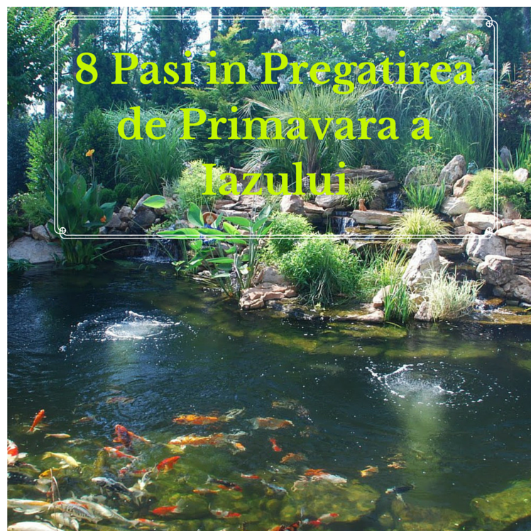 8 Pasi in Pregatirea de Primavara a Iazului