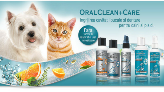 Cum Scapi de Respiratia Urat Mirositoare a Cainelui ? Detratrajul Dintilor